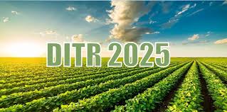 DITR – DECLARAÇÃO DO IMPOSTO SOBRE A PROPRIEDADE TERRITORIAL RURAL – EXERCÍCIO 2025
