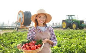 ICMS/SP – PRODUTOR RURAL – TRANSFERÊNCIA DE CRÉDITO